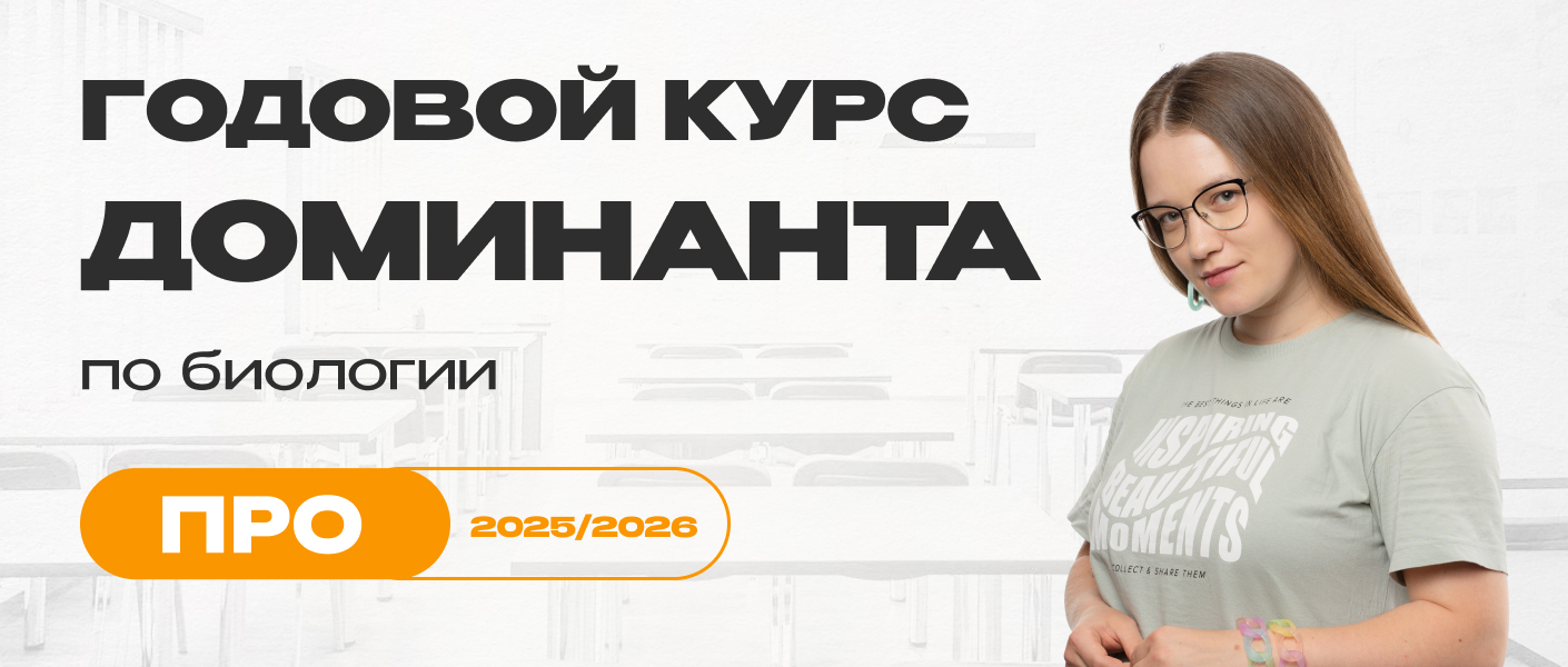 img course